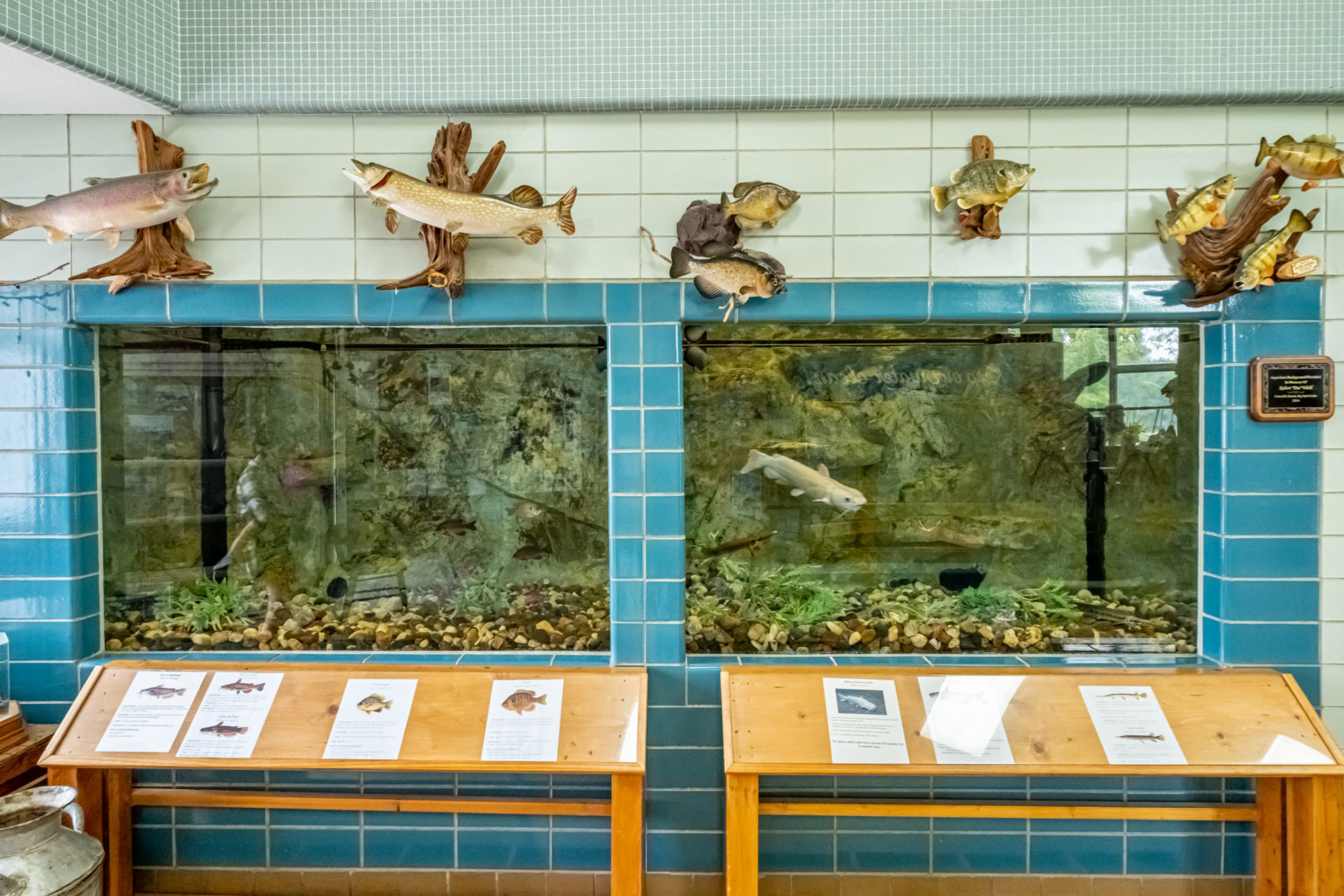 Fishing Water Activities Okoboji Realty Your Local Real Estate Specialists Fishing Water Activities Okoboji Realty Your Local Real Estate Specialists