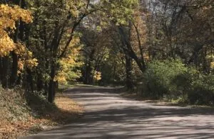 Scenic Autumn Roadway in Okoboji, Okoboji Realty