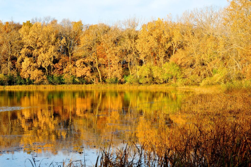 The Fall Colors Reflecting on Lake Okoboji