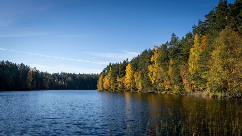 serene autumn lake with vibrant foliage