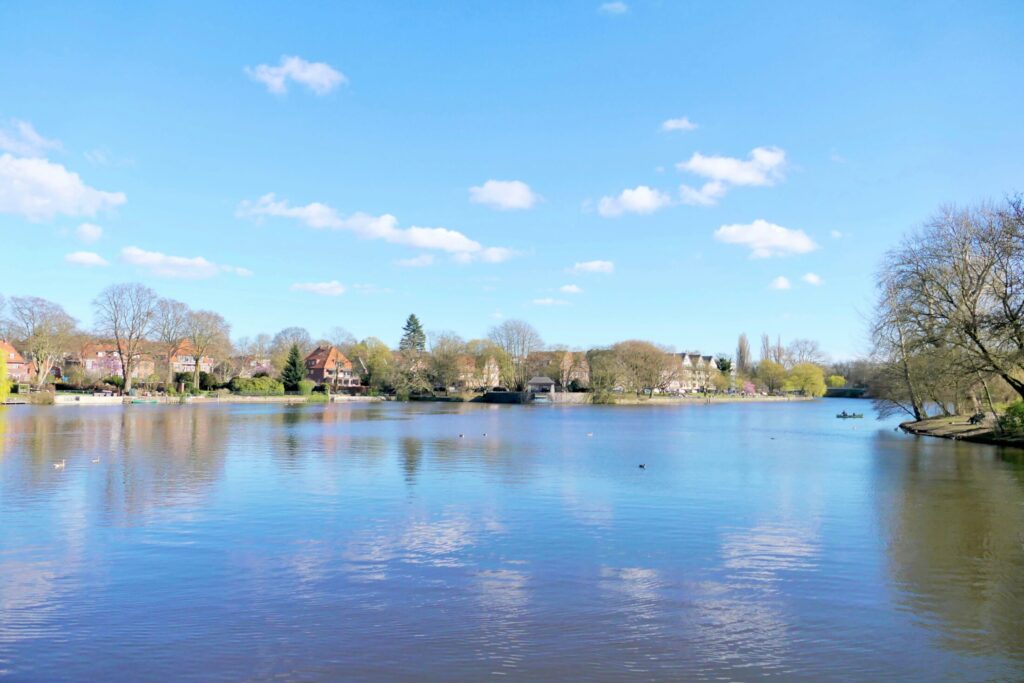 a serene lake reflects the clear blue sky
