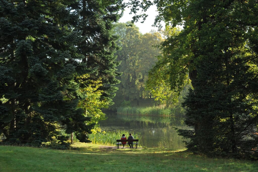 A serene park setting framed by tall, lush green evergreen and deciduous trees