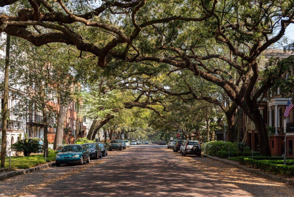 A perspective shot looking down a quiet residential street paved with red brick and lined with parked cars