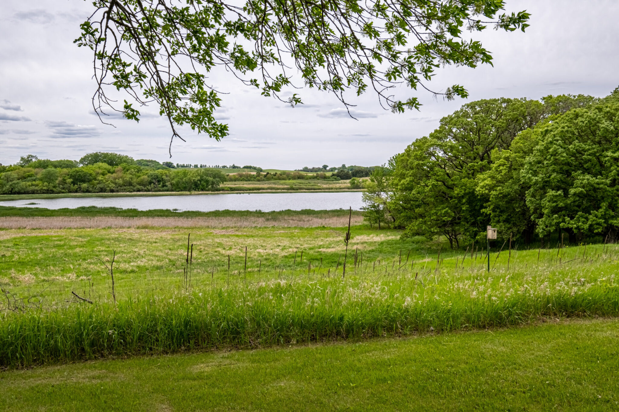 Native Pointing Tree The Best Hiking & Paved Trails Around Okoboji and the Iowa Great Lakes